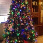 Our Christmas Tree this Year