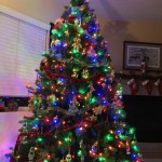 IMG_0413