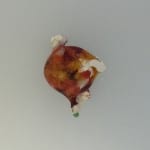 Fused Glass Bead - Mistake